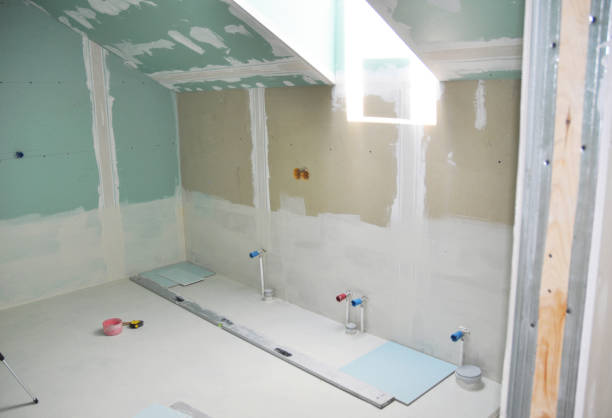 Best Airborne Mold Testing  in Aho Falls, ID
