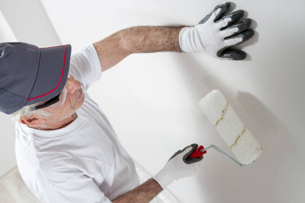 Best Forensic Mold Investigation  in Aho Falls, ID