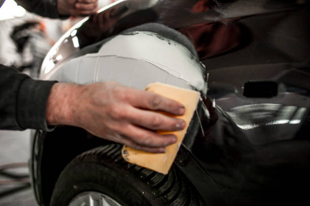 Trusted Idaho Falls, ID Mold Removal Experts