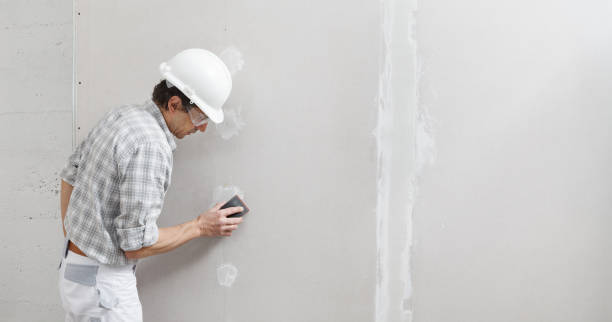 Best Mold Removal for HVAC Installations  in Aho Falls, ID
