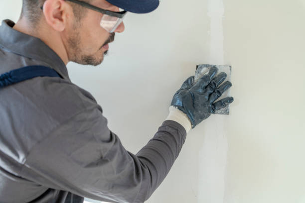 Best Air Quality Testing for Mold Spores  in Aho Falls, ID