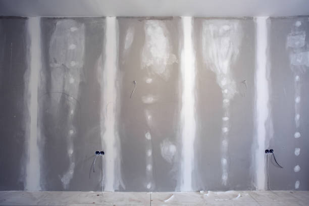 Idaho Falls, ID Mold Removal Company